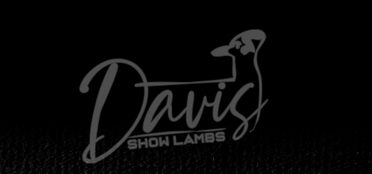 Davis Show Lambs